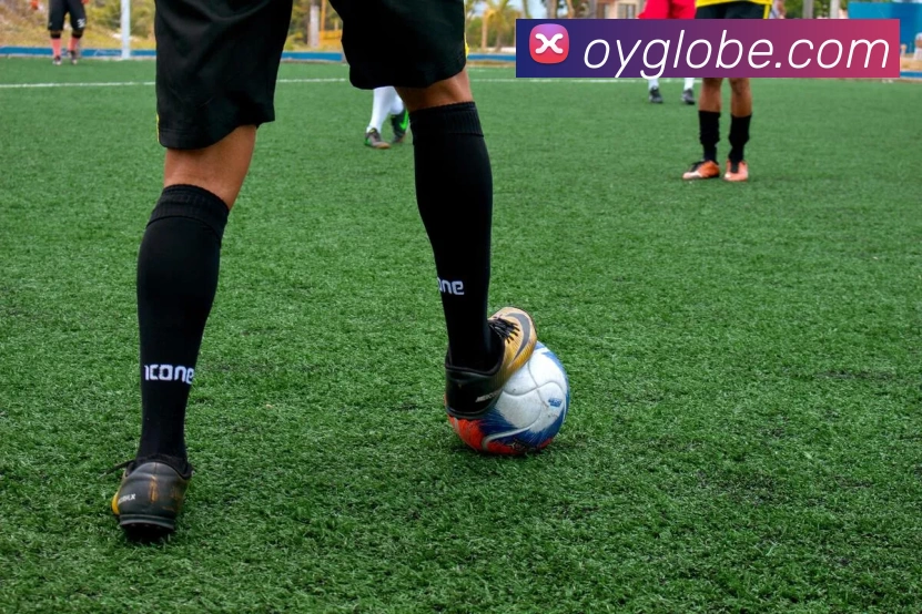 App Interface Preview